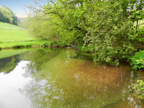 16.-Chargot-House-pond-weir-4