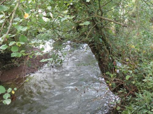 16.-Downstream-from-Greenham-Weir