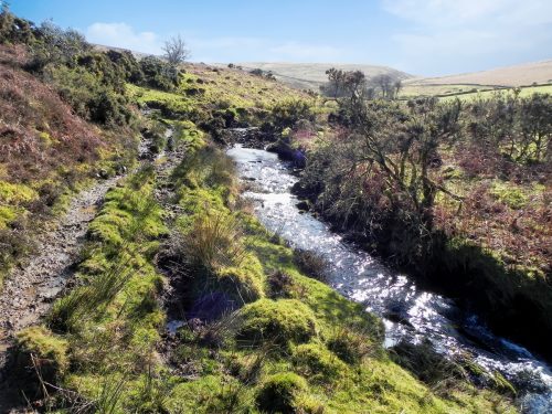 16.-Downstream-from-Hoar-Oak-Cottage-2