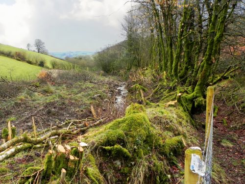 16.-Downstream-from-Little-Ash-Combe-2