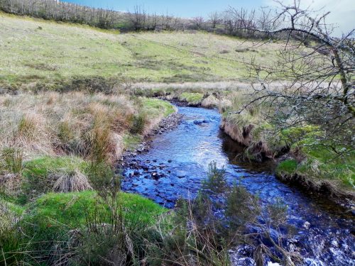 16.-Downstream-from-Long-Holcombe-Water-2
