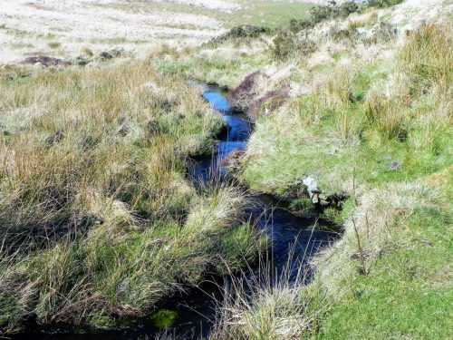 16.-Downstream-from-Madacombe-Bridge-2