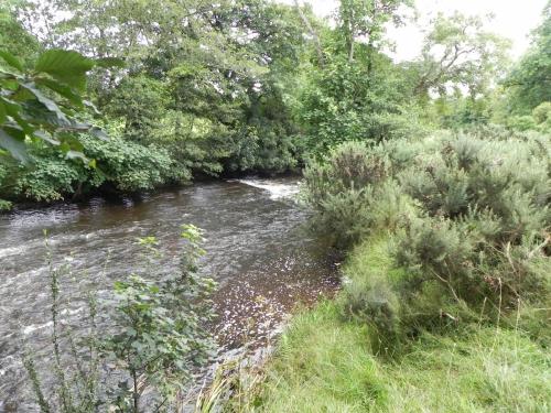 16.-Downstream-from-Perrys-weir-4