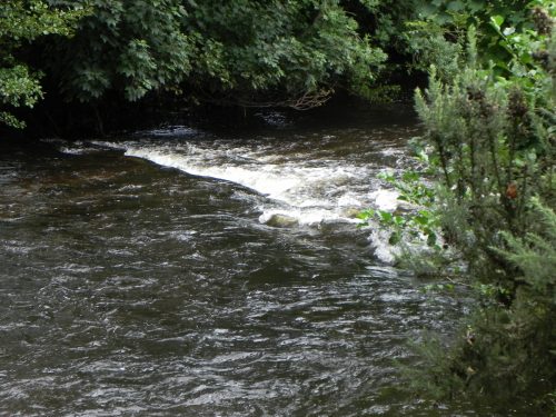 16.-Downstream-from-Perrys-weir-5