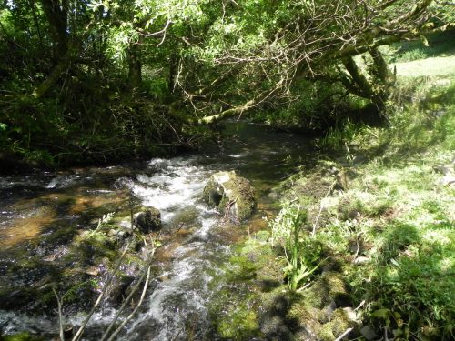 16.-Downstream-from-Radsbury-Lane-ford-1