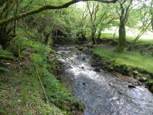 16.-Downstream-from-Radsbury-Lane-ford-2