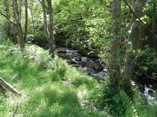 16.-Downstream-from-Radsbury-Lane-ford-3