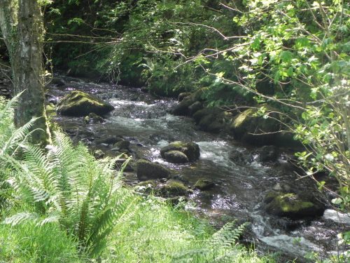 16.-Downstream-from-Radsbury-Lane-ford-4