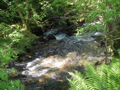 16.-Downstream-from-Radsbury-Lane-ford-5