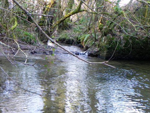 16.-Downstream-from-Stoney-Bridge-2