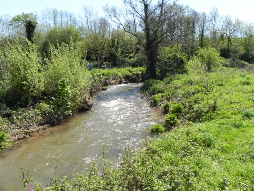 16.-Downstream-from-Torr-Fishery-Weir