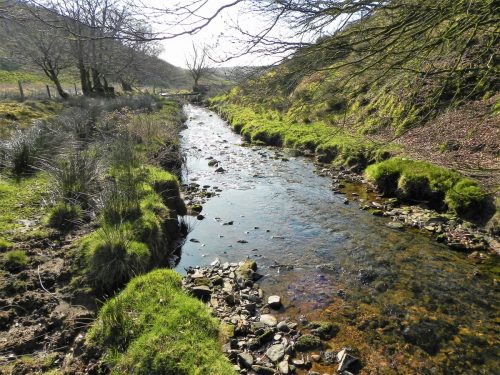 16.-Downstream-from-Upper-Willingford-Bridge-2