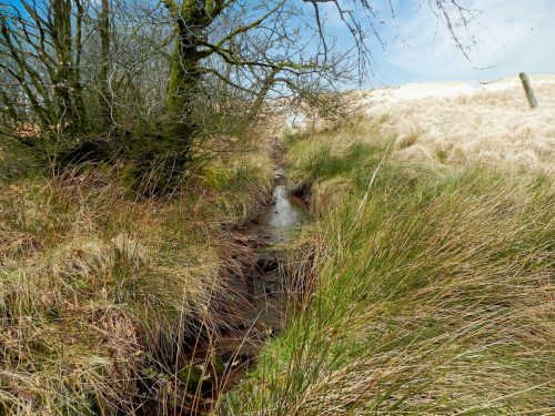 16.-Early-stream-approx-600-metres-from-source-2