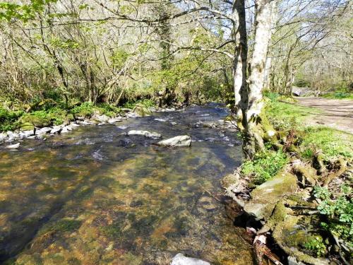 16.-Flowing-below-Heddon-Mouth-Wood-2