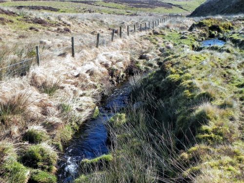 16.-Flowing-below-Hoccombe-Hill-2