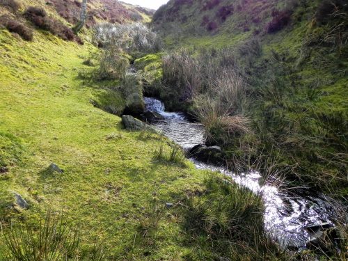 16.-Flowing-down-Ember-Combe-2