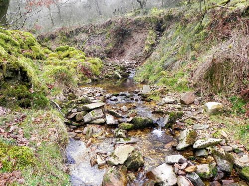 16.-Flowing-through-Mansley-Combe-2