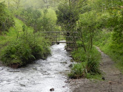 16.-Flowing-through-Pit-Wood-12
