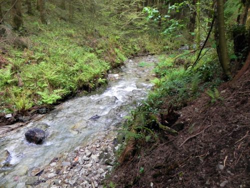 16.-Flowing-through-Pit-Wood-22