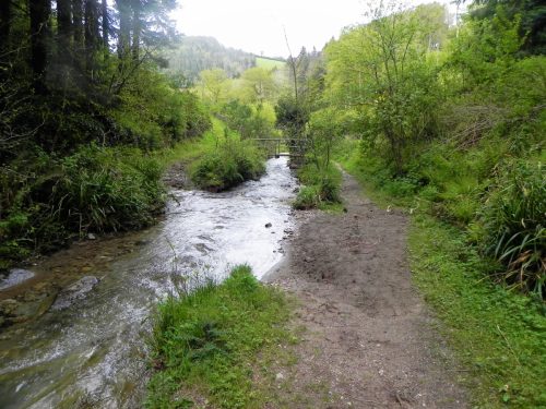 16.-Flowing-through-Pit-Wood-23