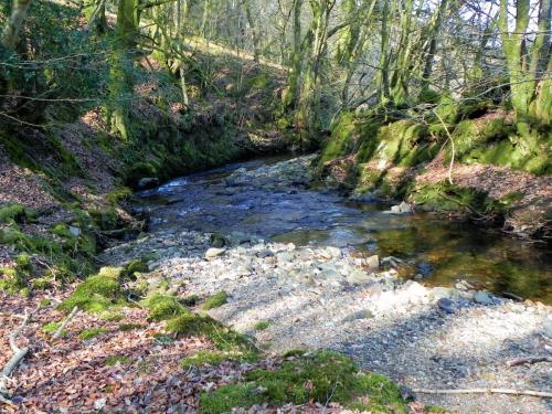 16.-Flowing-through-Shortacombe-Wood-2