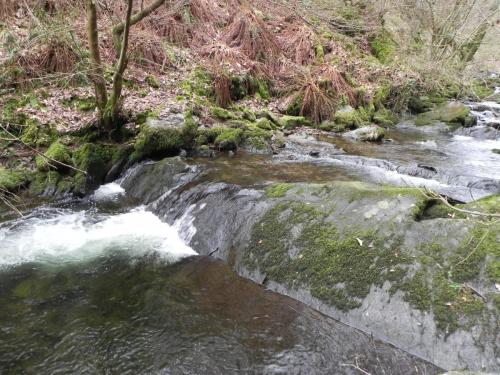 16.-Flowing-through-Wilmersham-Wood