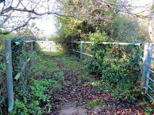 16.-Kittisford-Accommodation-Bridge-2