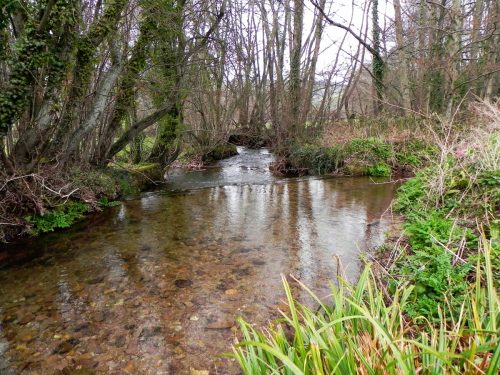 16.-Looking-downstream-from-Ford-Bridge-2