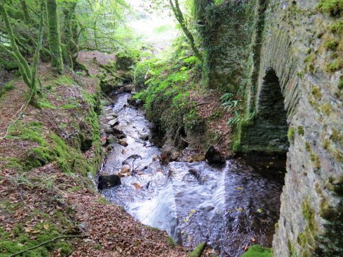 16.-Looking-downstream-from-Lower-Beverton-Bridge-2