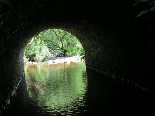16.-Looking-downstream-through-Warrens-Bridge