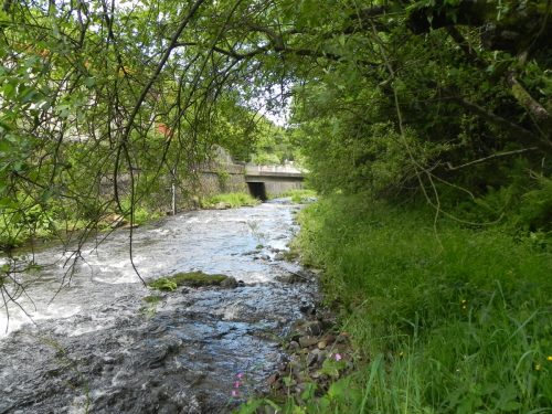 16.-Looking-downstream-to-Barbrook-Bridge