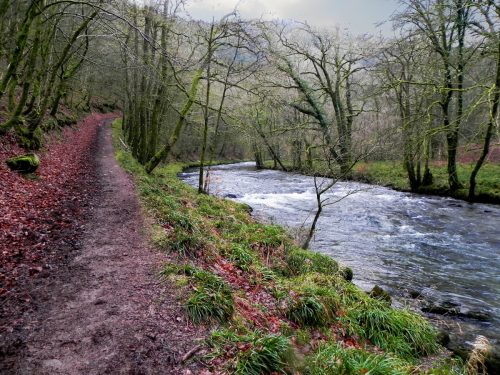 16.-Near-Shircombe-Slade-2