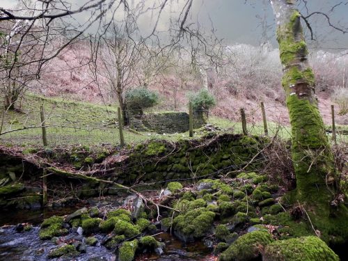 16.-Ruined-building-in-Tarr-Ball-Woods-2