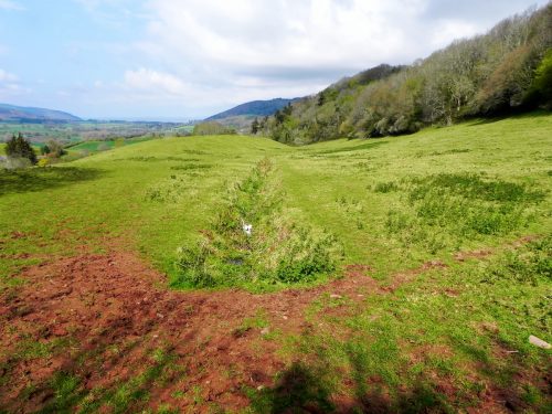 16.-Tivington-Knowle-headstream-2