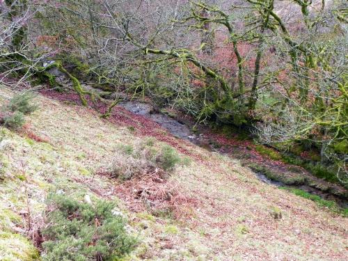 16.-Tributary-stream-flowing-from-East-side-of-Quarme-Hill-2