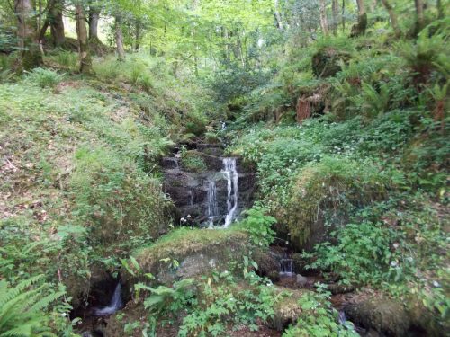 16.-Tributary-stream-joins-Lyn-Wood-1