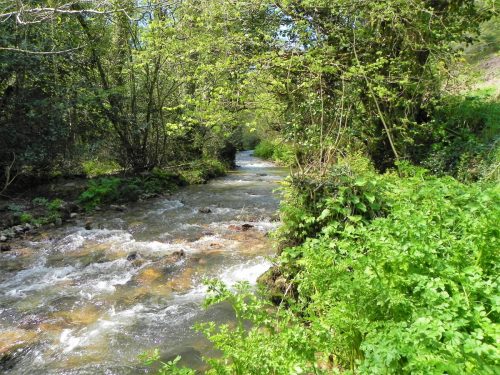16.-Upstream-from-Langridge-Mills-Road-Bridge-2