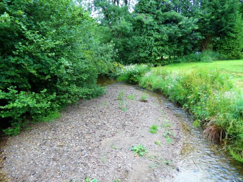 16.-Upstream-from-ROW-Bridge-3375-2