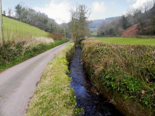 16.-Upstream-from-Steart-bridge-2