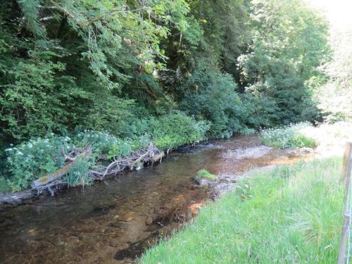 16.-Upstream-from-Vicarage-Bridge-2