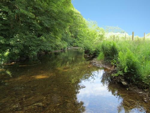 16.-Upstream-from-Vicarage-Bridge-3