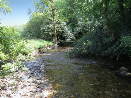 16.-Upstream-from-Vicarage-Bridge-4