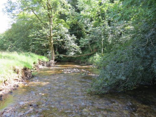 16.-Upstream-from-Vicarage-Bridge-5