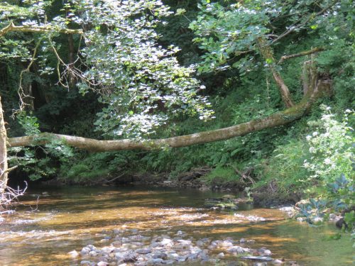16.-Upstream-from-Vicarage-Bridge-6