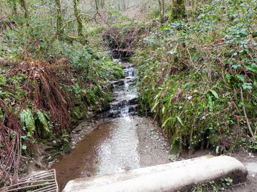 16.-Waters-join-from-Watercombe-2