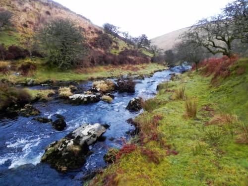 161.-Downstream-from-Hoccombe-Water-join-2