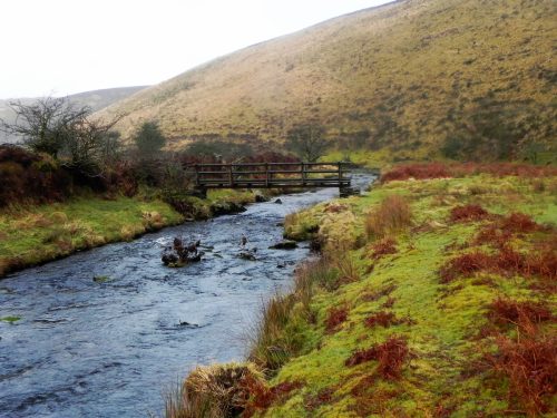162.-Badgworthy-Hill-Footbridge-2
