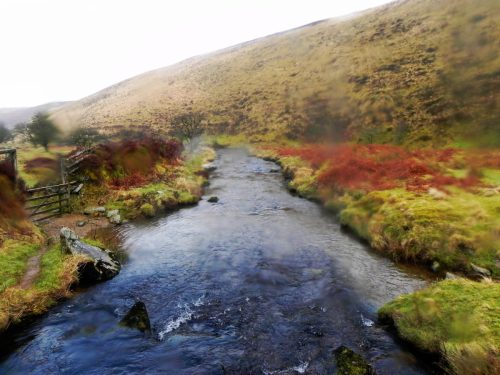 167.-Looking-downstream-from-Badgworthy-Hill-Footbridge-2