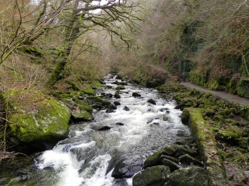 16a.-Looking-upstream-from-Wester-Wood-Footbridge-2