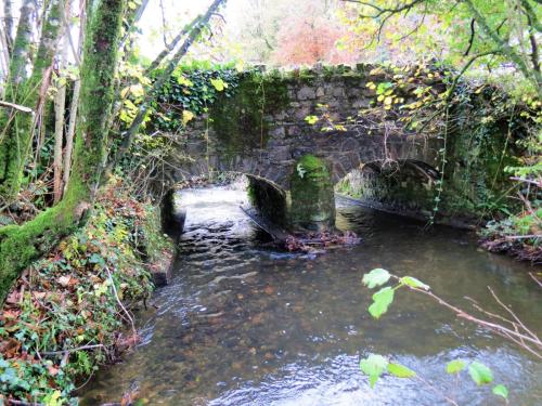 17.-Brockey-Bridge-upstream-face-6